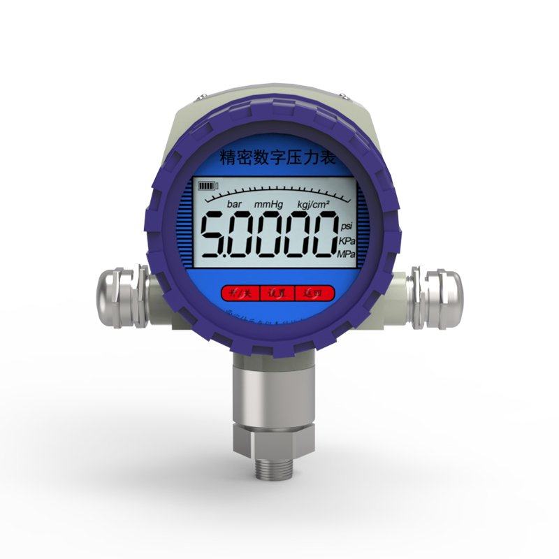 防爆数字压力表
